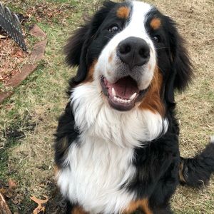 Meet your Posher, Jaclyn